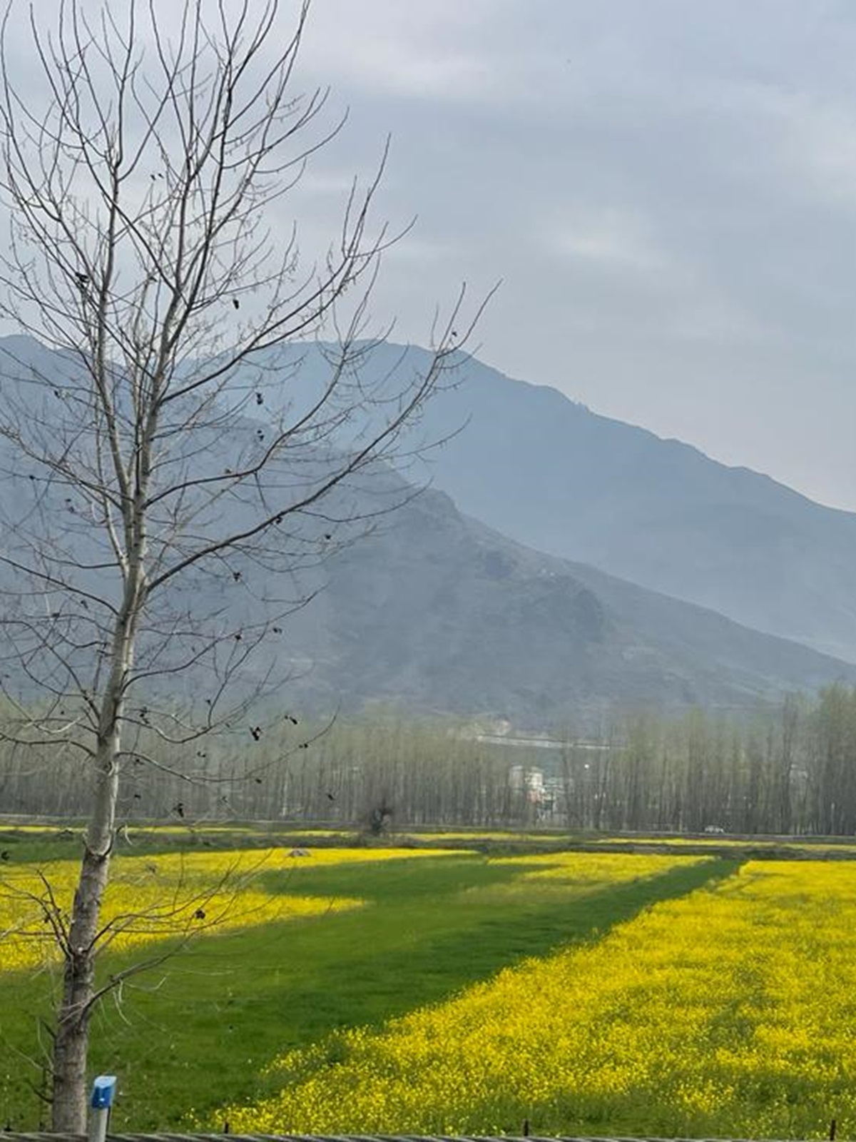 Rare facts every tourist should know before visiting Kashmir
